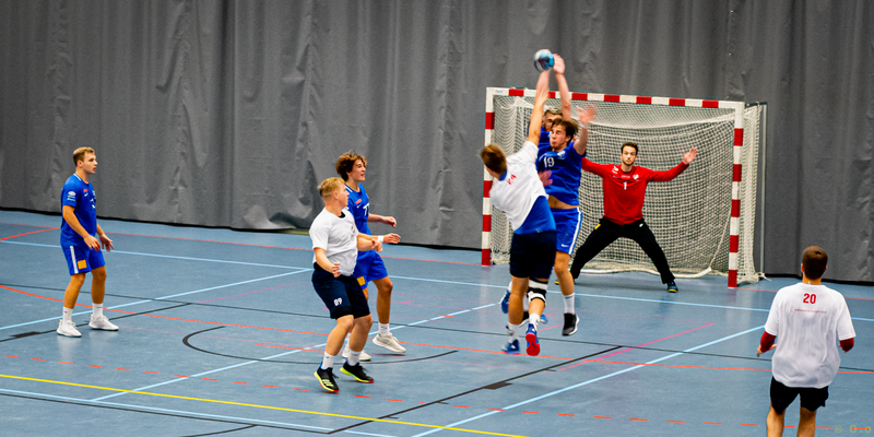 File:Handball (6).png